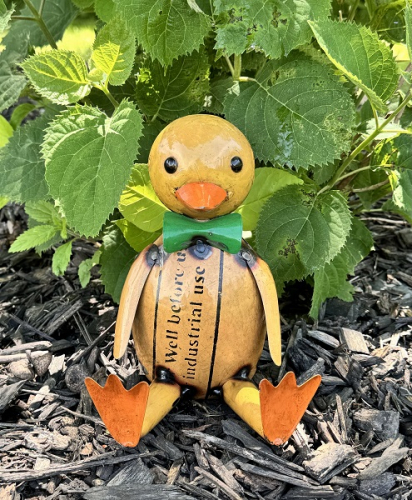 BABY HUEY DUCK *NEW* AVAIL JAN 2025